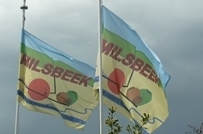 302 milsbeekse vlag203x134